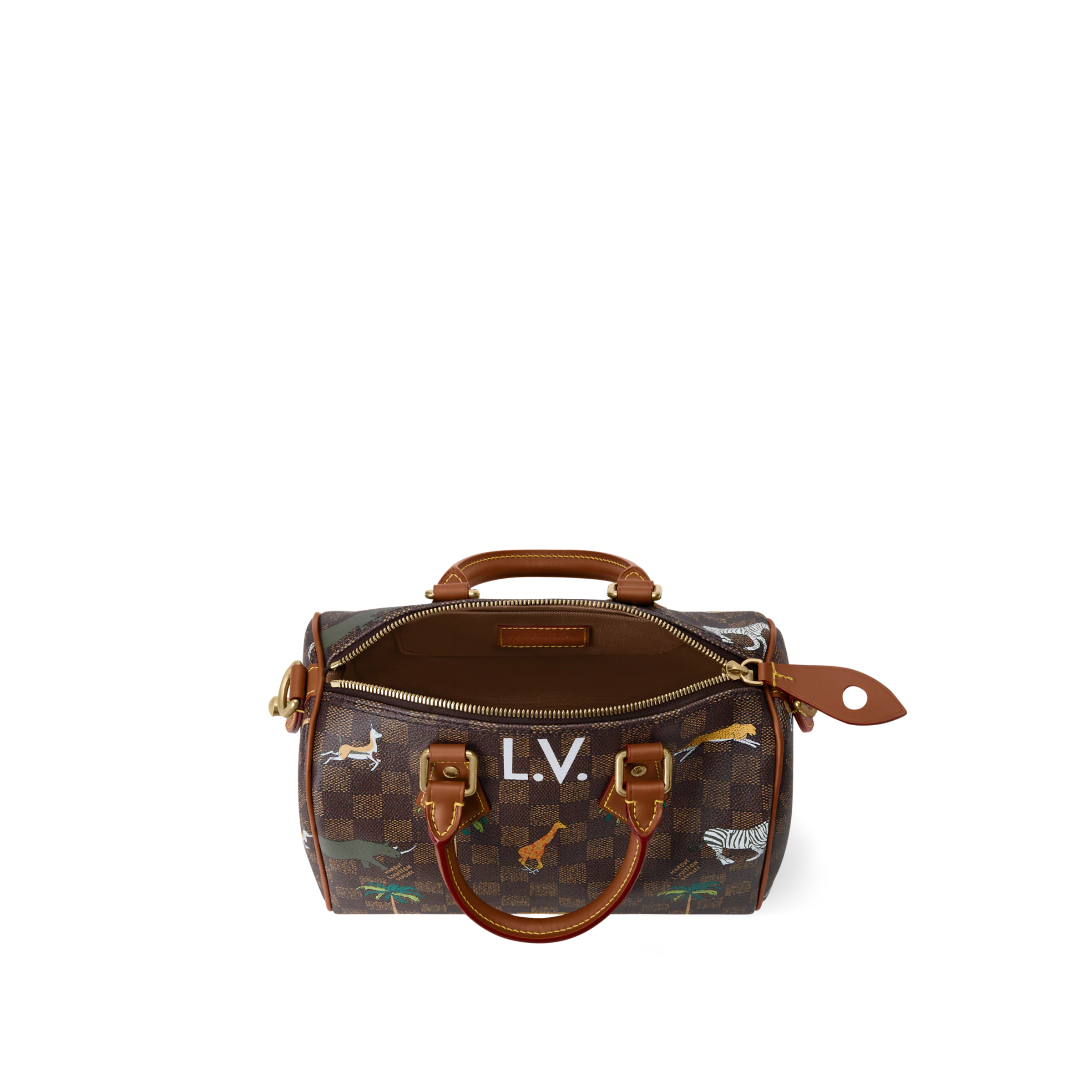 Speedy 25 Bandoulière x The Darjeeling Limited