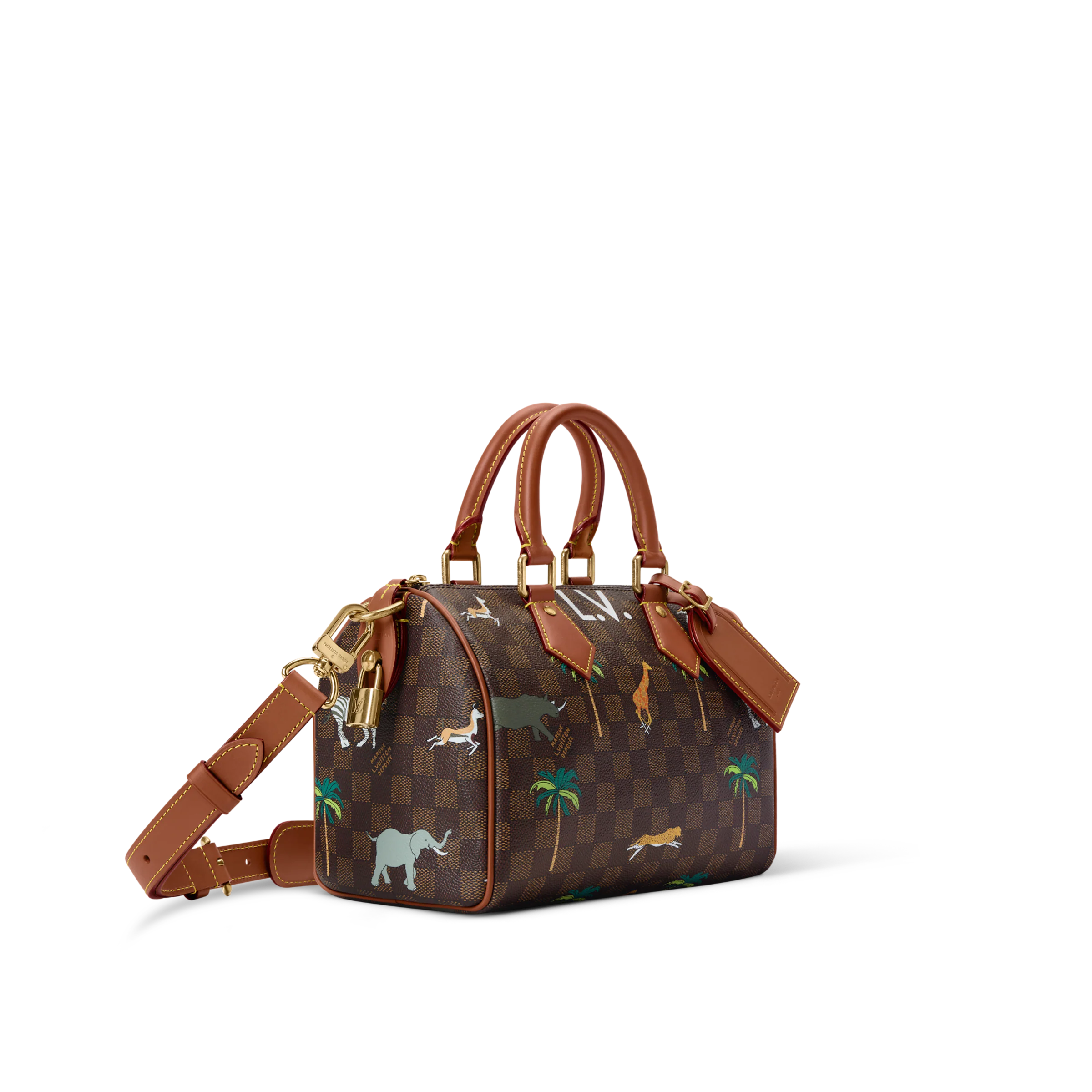 Speedy 25 Bandoulière x The Darjeeling Limited