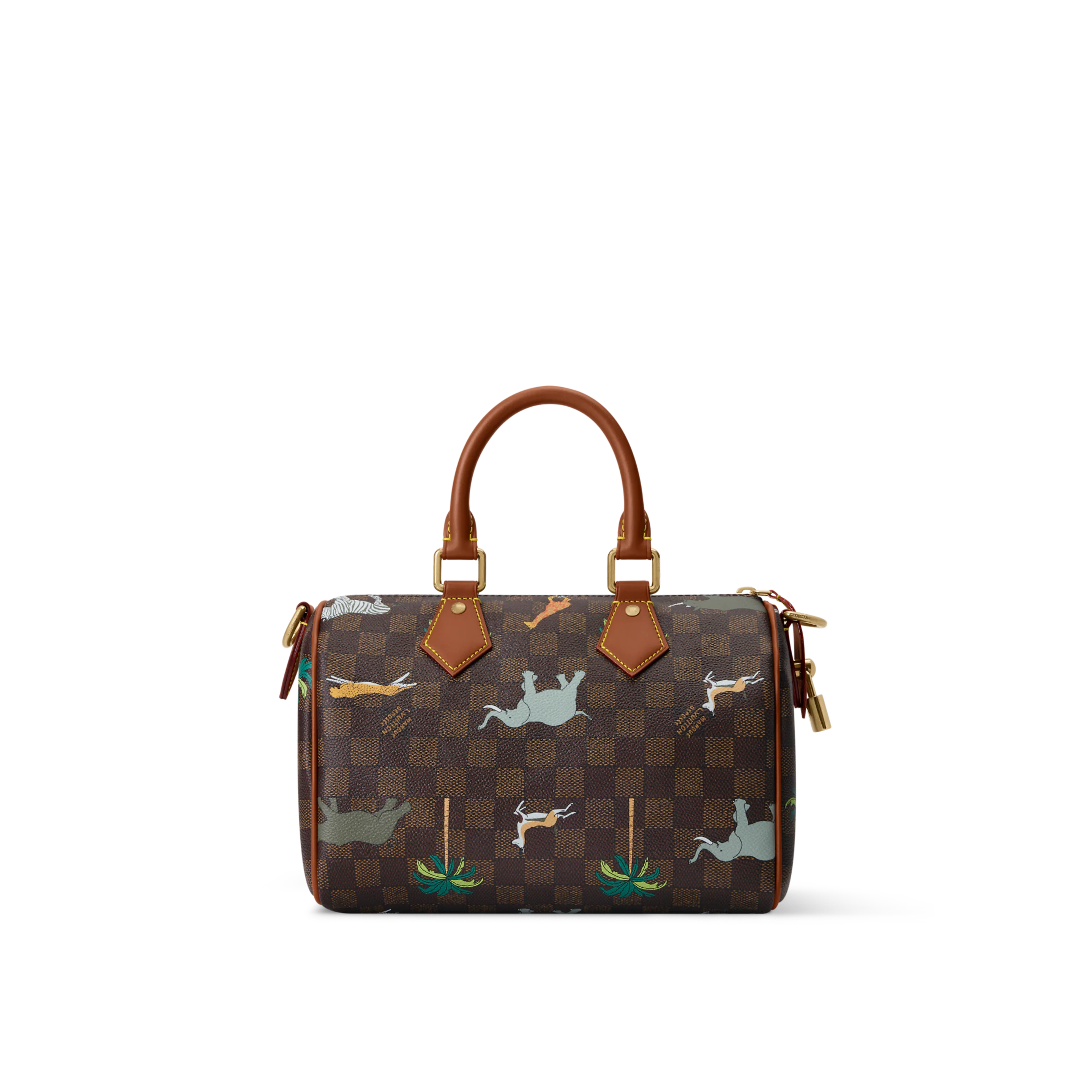 Speedy 25 Bandoulière x The Darjeeling Limited